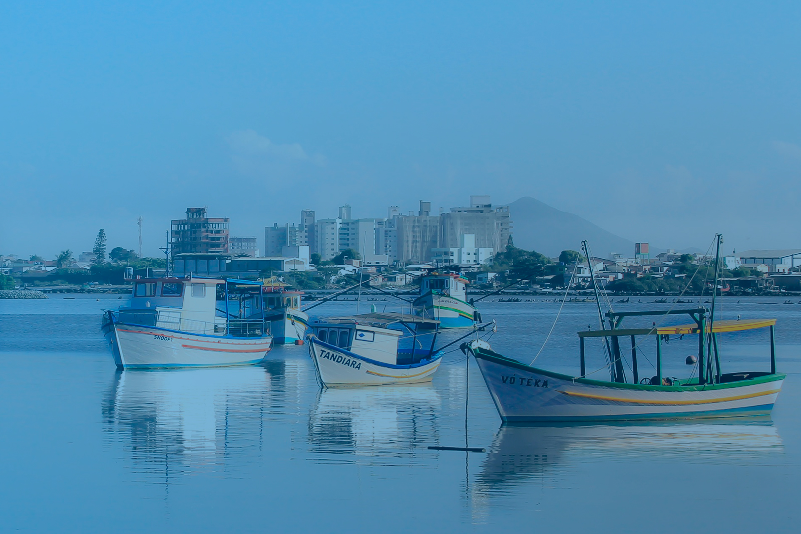 Saiba como se beneficiar ao importar por Santa Catarina